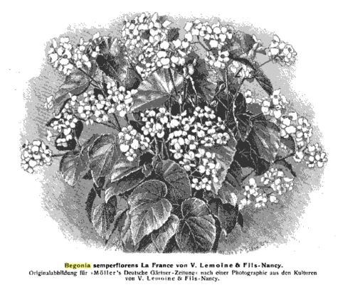 B. ‘La France’